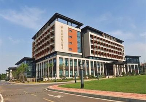 丽芮酒店引领高端生活旅居新时代