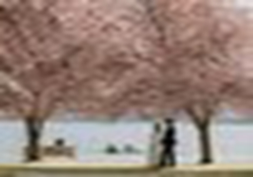 引领高端酒店品牌的酒店企业，怎样满足消费者期待?