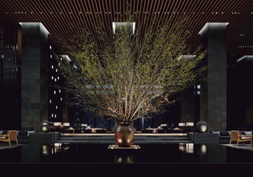 酒店房型的区别